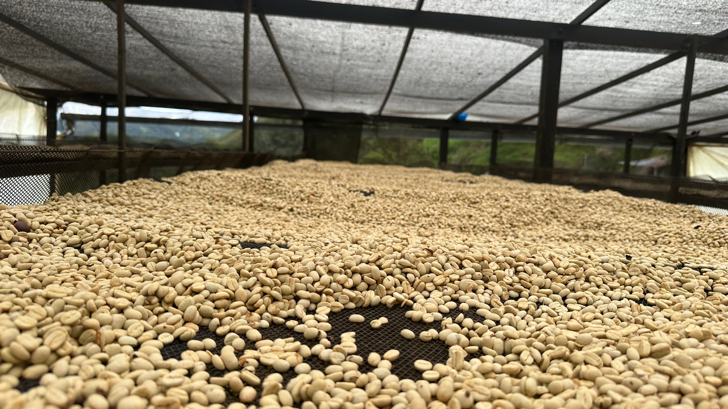 Colombia: La Roca